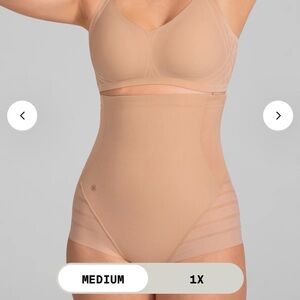 HONEYLOVE Queen Brief NWT